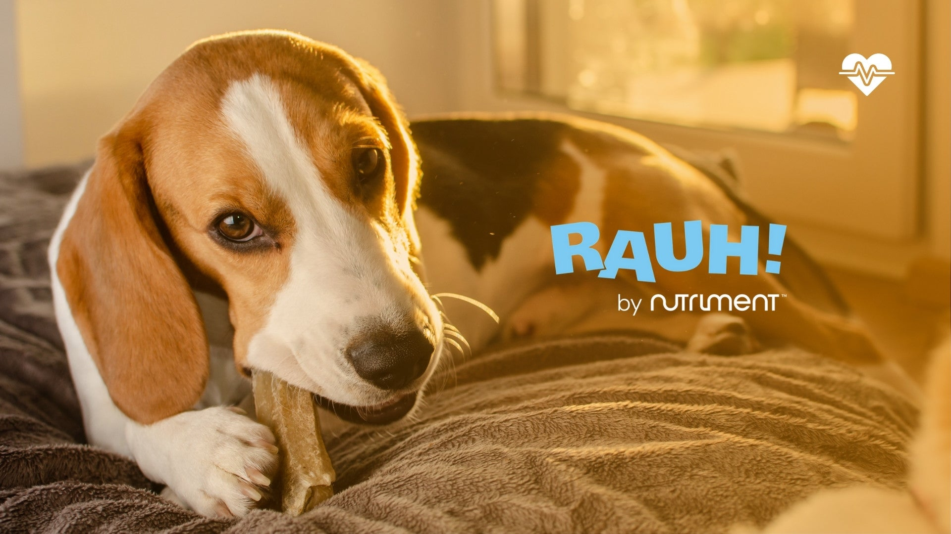RAUH!