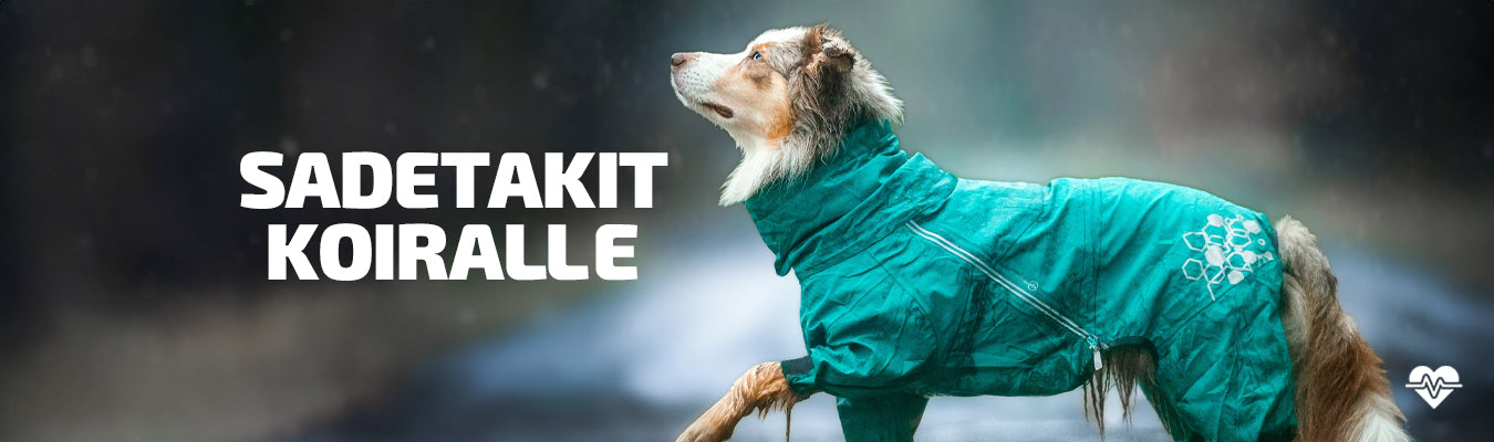 Sadetakit koiralle