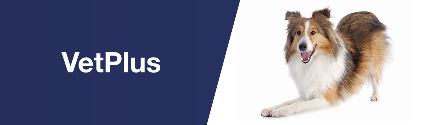 VETPLUS