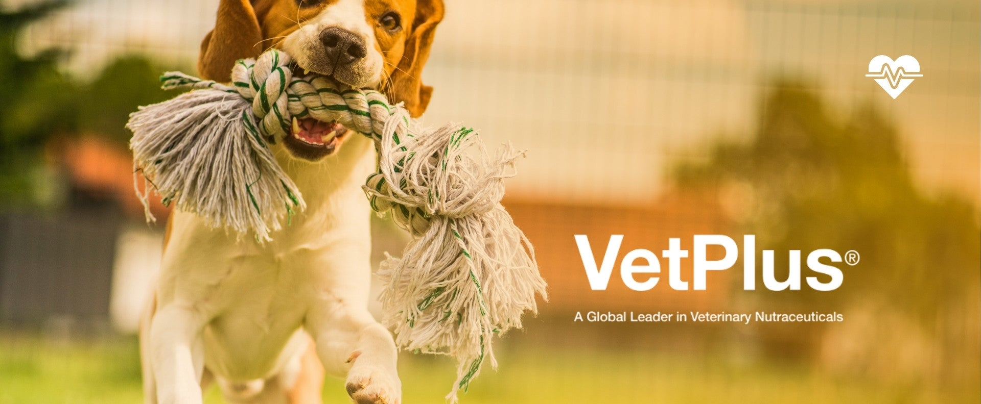 VETPLUS
