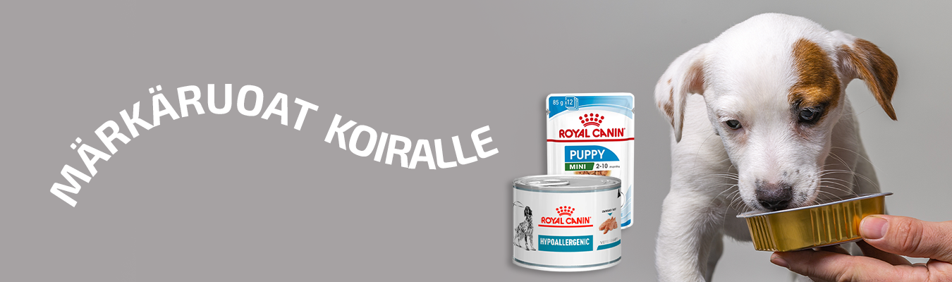 MÄRKÄRUOAT KOIRALLE