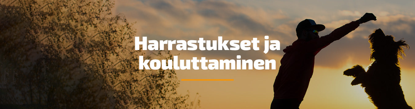 Harrastukset ja kouluttaminen