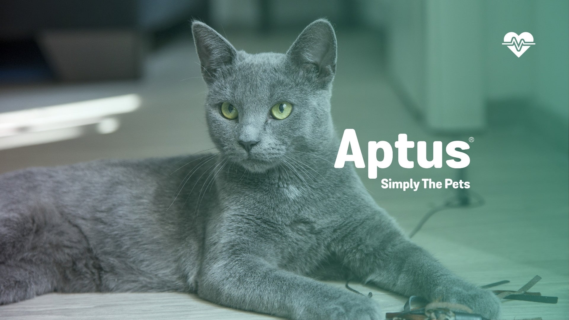 Aptus