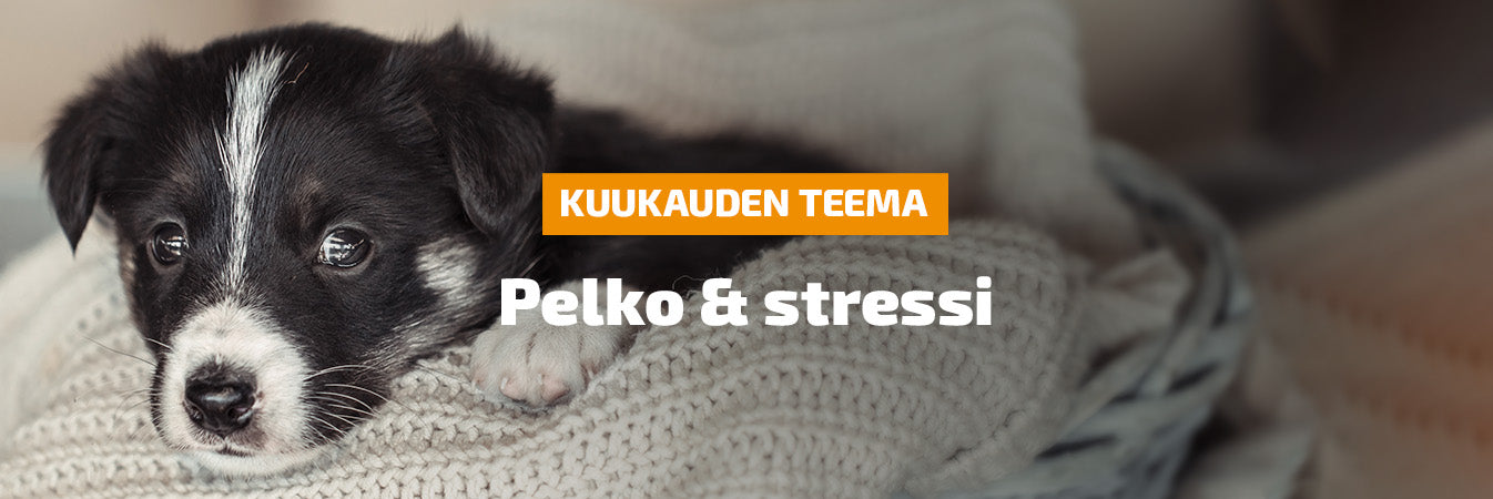 Teema - Pelko & Stressi