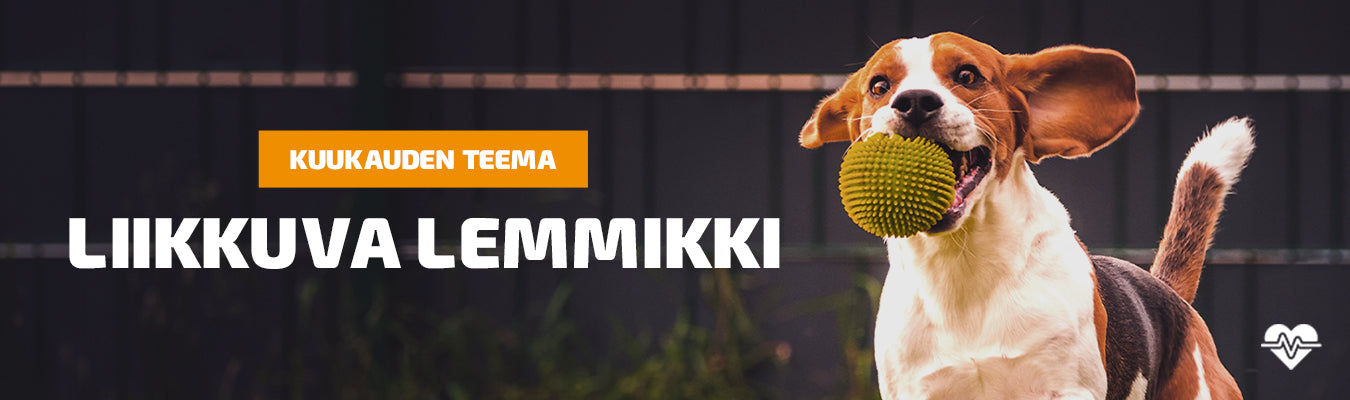 Teema - Liikkuva lemmikki
