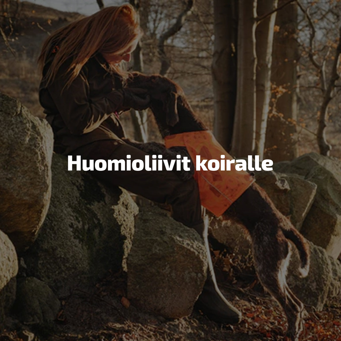 Huomioliivit koiralle