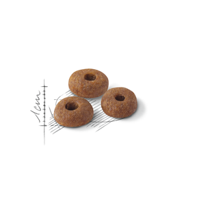 Royal Canin Fit kissalle 2 kg
