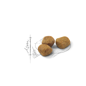 Royal Canin Indoor 7+ kissalle 1,5 kg