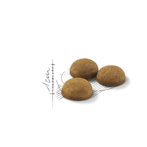 Royal Canin Indoor Long Hair kissalle 400 g