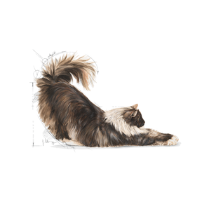 Royal Canin Indoor Long Hair kissalle 400 g