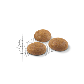 Royal Canin Outdoor kissalle 2 kg