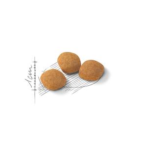 Royal Canin Protein Exigent kissalle 2 kg
