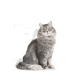 Royal Canin Sensible kissalle 2 kg