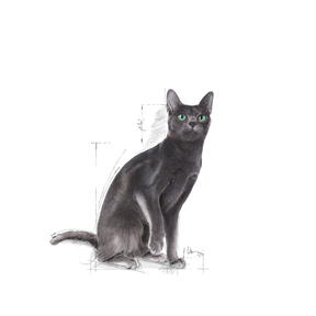 Royal Canin Sterilised kissalle 400 g