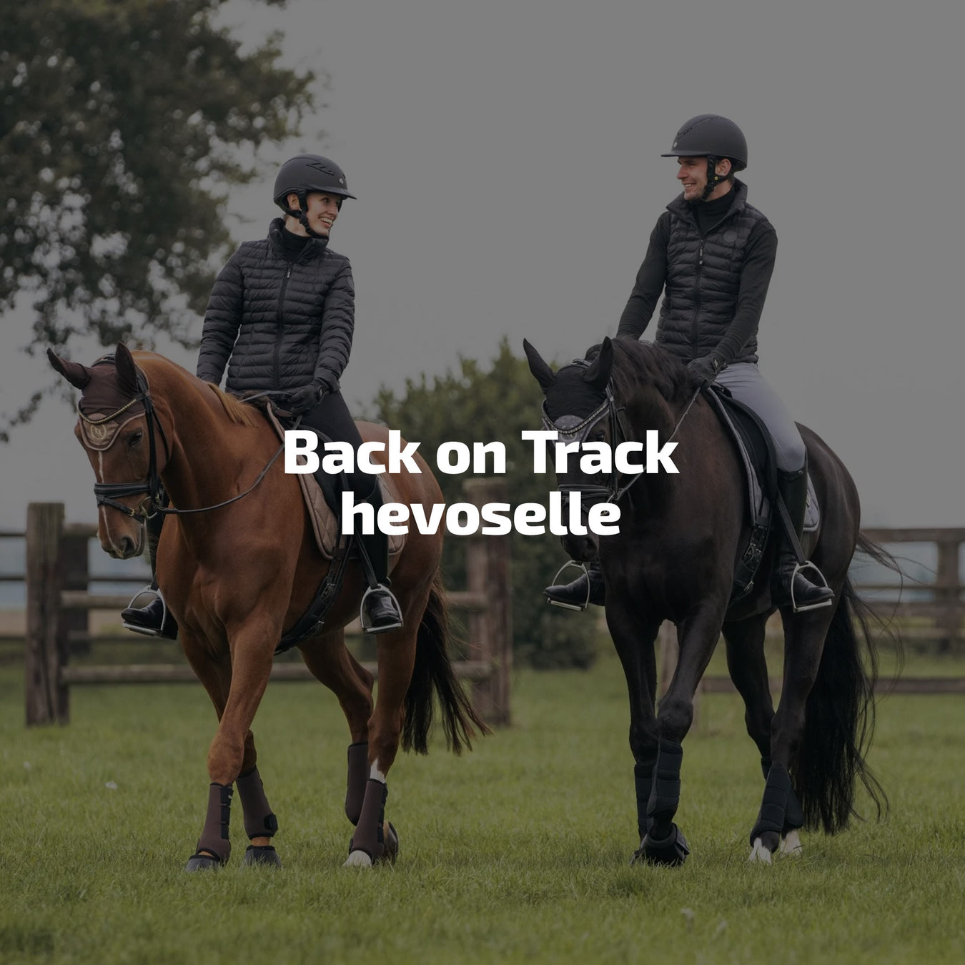 Back on Track hevoselle