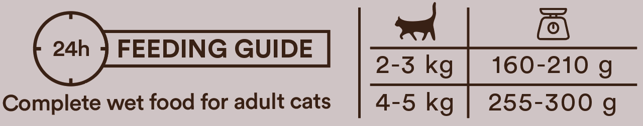 Monster Cat Adult Multi Protein Chicken-Turkey-Duck kissalle 12 x 100 g