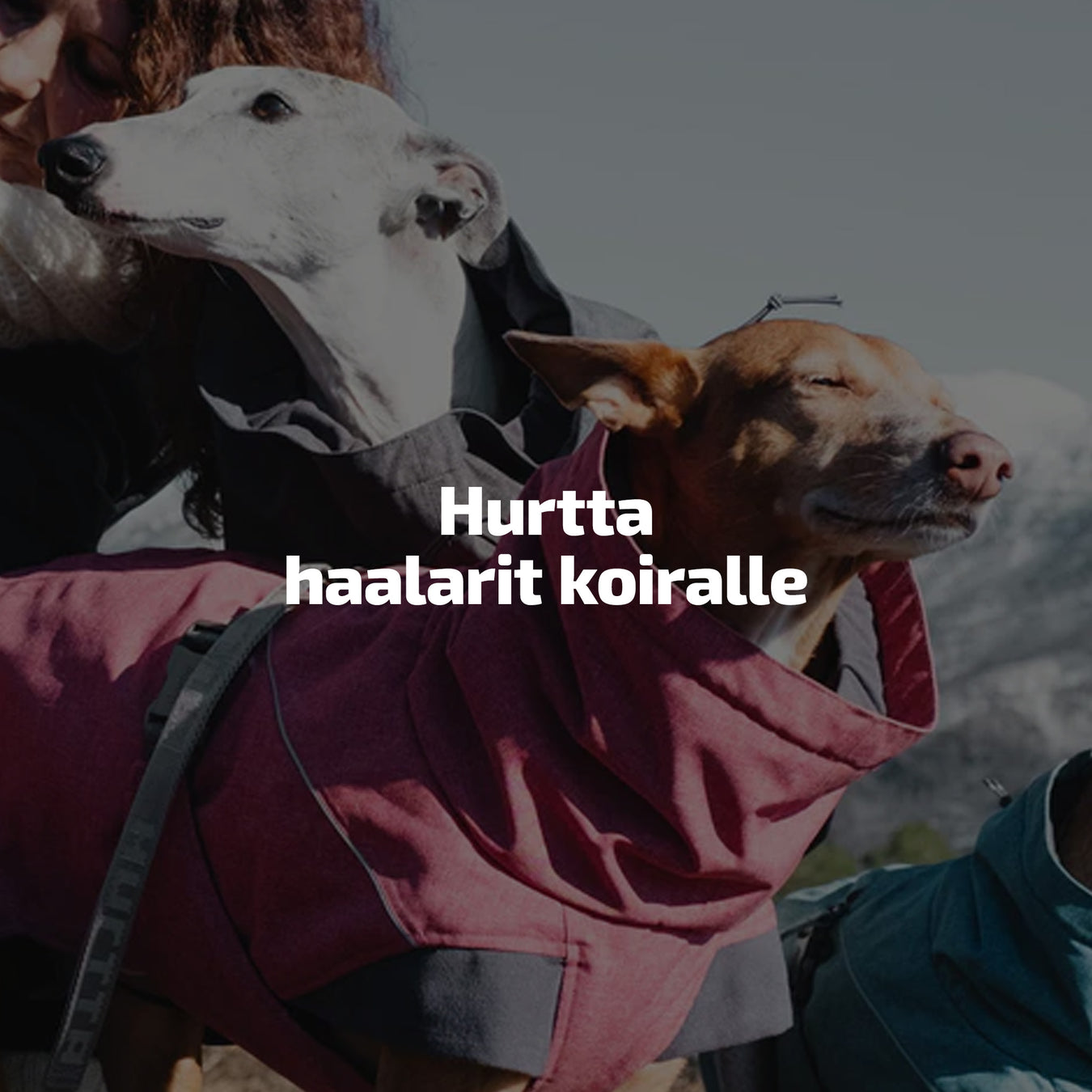 Hurtta haalarit koiralle