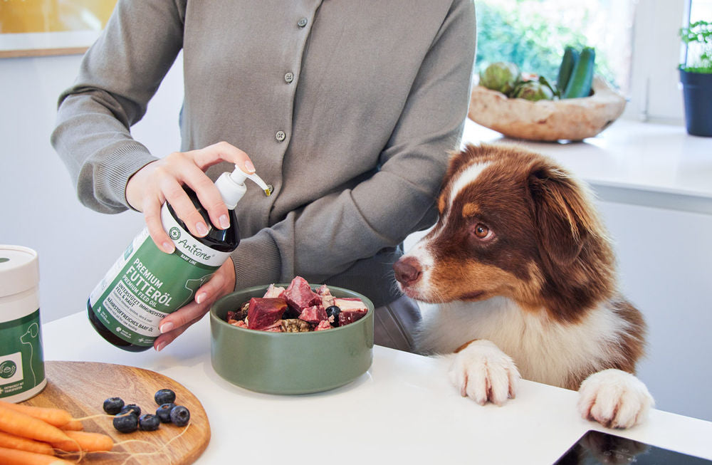 AniForte BARF Ruokintaöljy lisäravinne koiralle 500 ml