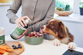 Aniforte Pellavaöljy lisäravinne koirille kissoille ja hevosille 500 ml