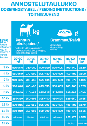 Werraton Juniori koiranruoka 9 kg