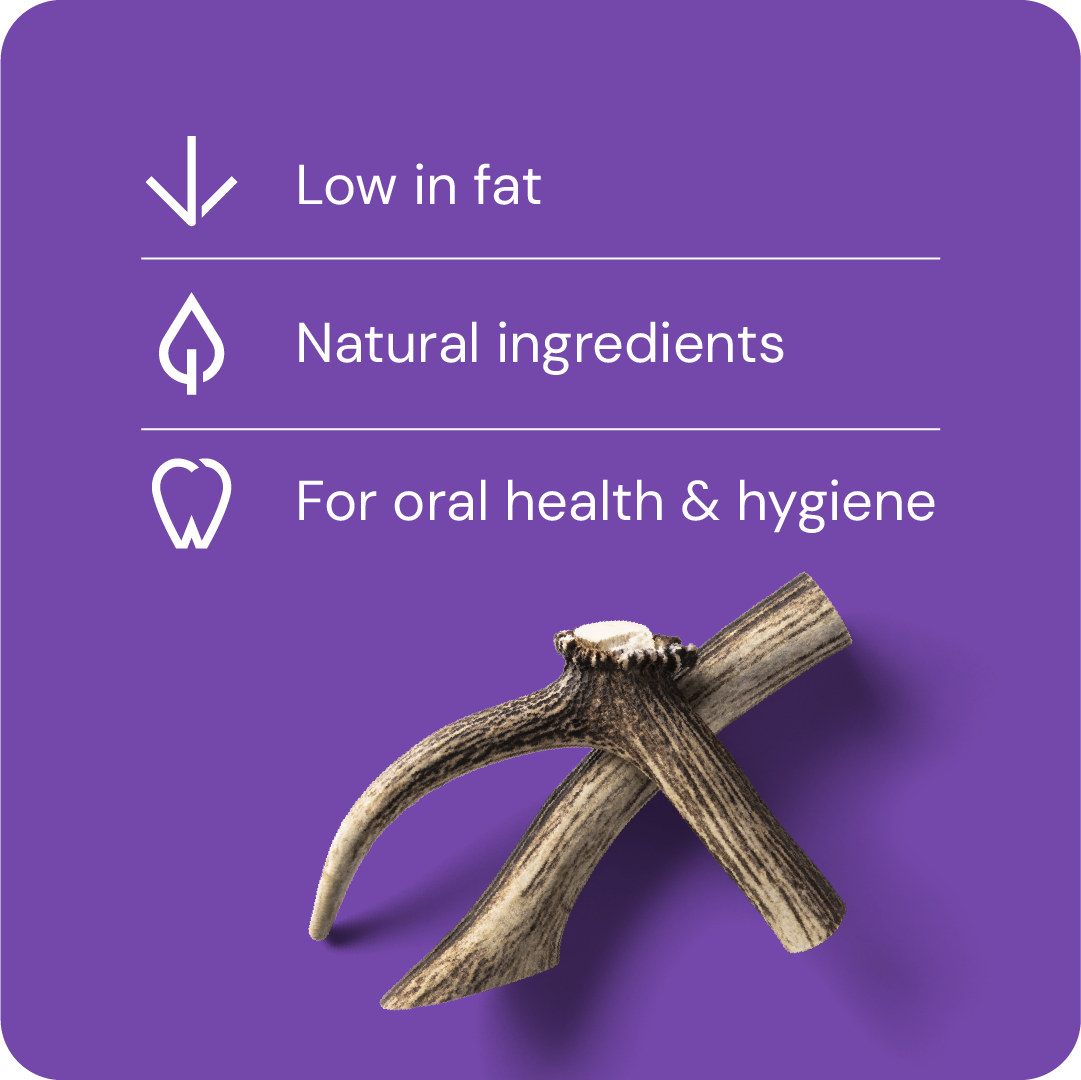 Nutriment Antler L - Peuran sarvi 1 kpl