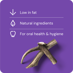 Nutriment Antler L - Peuran sarvi 1 kpl