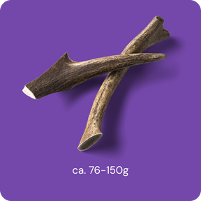 Nutriment Antler M - Peuran sarvi 1 kpl