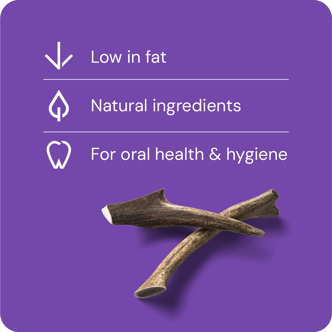 Nutriment Antler M - Peuran sarvi 1 kpl