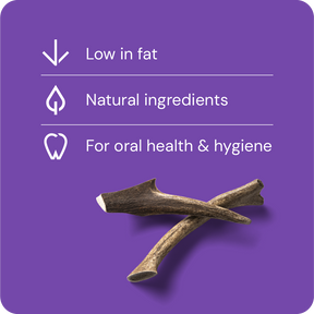 Nutriment Antler M - Peuran sarvi 1 kpl