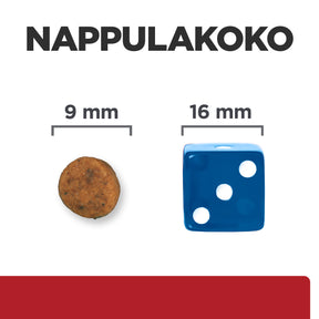 Hill's Prescription Diet i/d Digestive Care Kitten with Chicken -kuivaruoka kissanpennuille