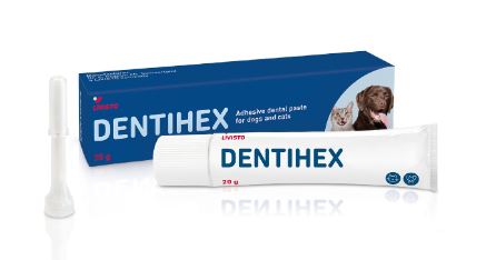 Dentihex kiinnittyvä hammasgeeli koirille ja kissoille 20 g