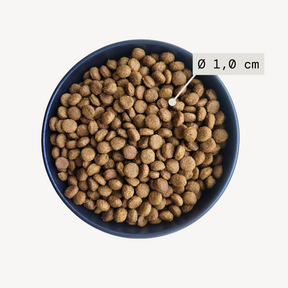 Alvar Pet Derma/Insect koiran kuivaruoka 7 kg