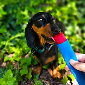 Furree Ice Cream Mix koirille Omena 60g 10 annosta