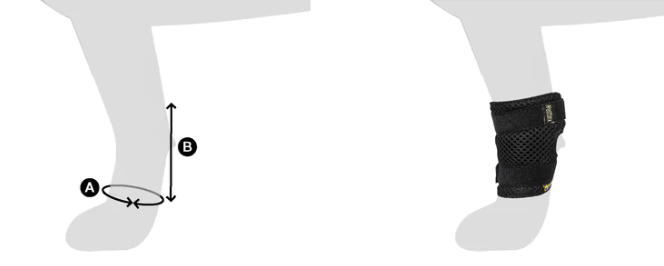 Back on Track Milo koiran jalkasuojat