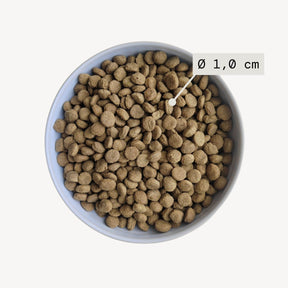 Alvar Pet Light/Fish koiran kuivaruoka 7 kg