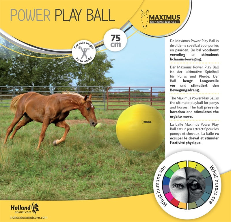 Maximus Power leikkipallo 75 cm