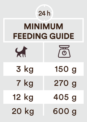 Monster Dog Adult Power Pate kana koiralle 12 x 150 g