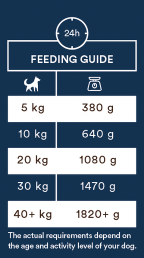 Monster Dog Adult Sensitive Fish koiralle 6 x 400 g
