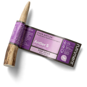 Nutriment Antler S - Peuran sarvi 1 kpl