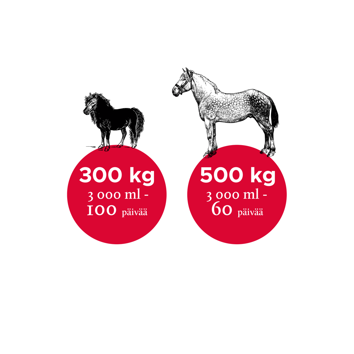 Nutrolin Horse Sport 3000 ml