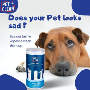 Pet Clean pepun puhdistuspyyhe koirille ja kissoille 50 kpl