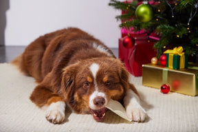 RAUH! Gingerbread - Piparipuruluu 13 cm 10 kpl SÄÄSTÖPAKKAUS