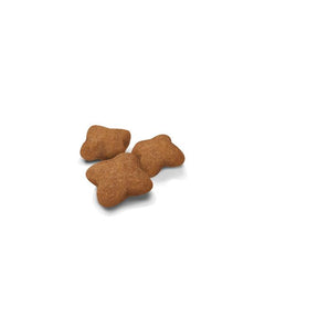 Royal Canin Kitten Sterilised kissalle 400 g PÄIVÄYSTARJOUS