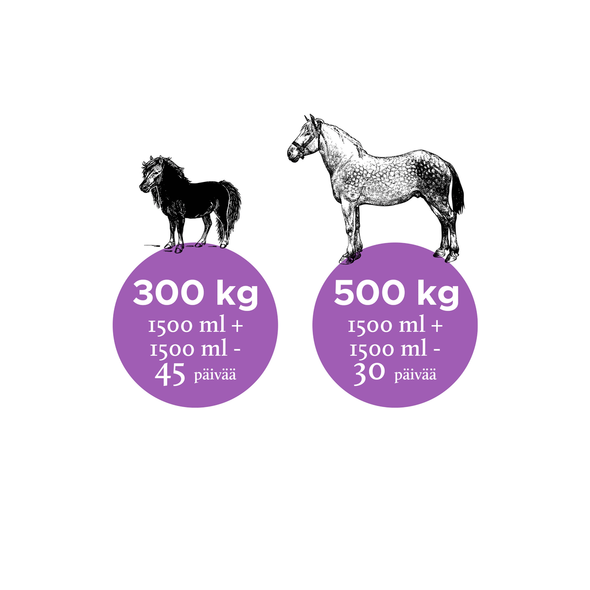 Nutrolin Horse Joint Duo hevoselle 3000 ml