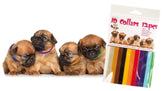 Transgroom 4pups koiranpentujen merkkauspannat 12 kpl