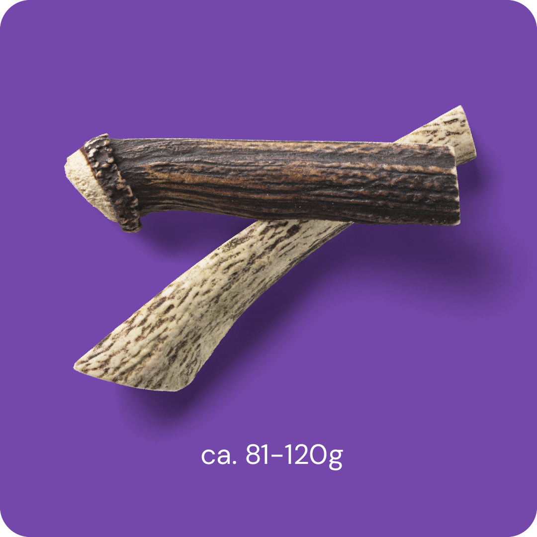 Nutriment Split Antler L - Peuran sarvi 1 kpl