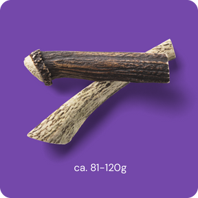 Nutriment Split Antler L - Peuran sarvi 1 kpl