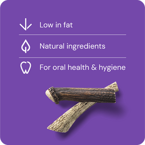 Nutriment Split Antler L - Peuran sarvi 1 kpl