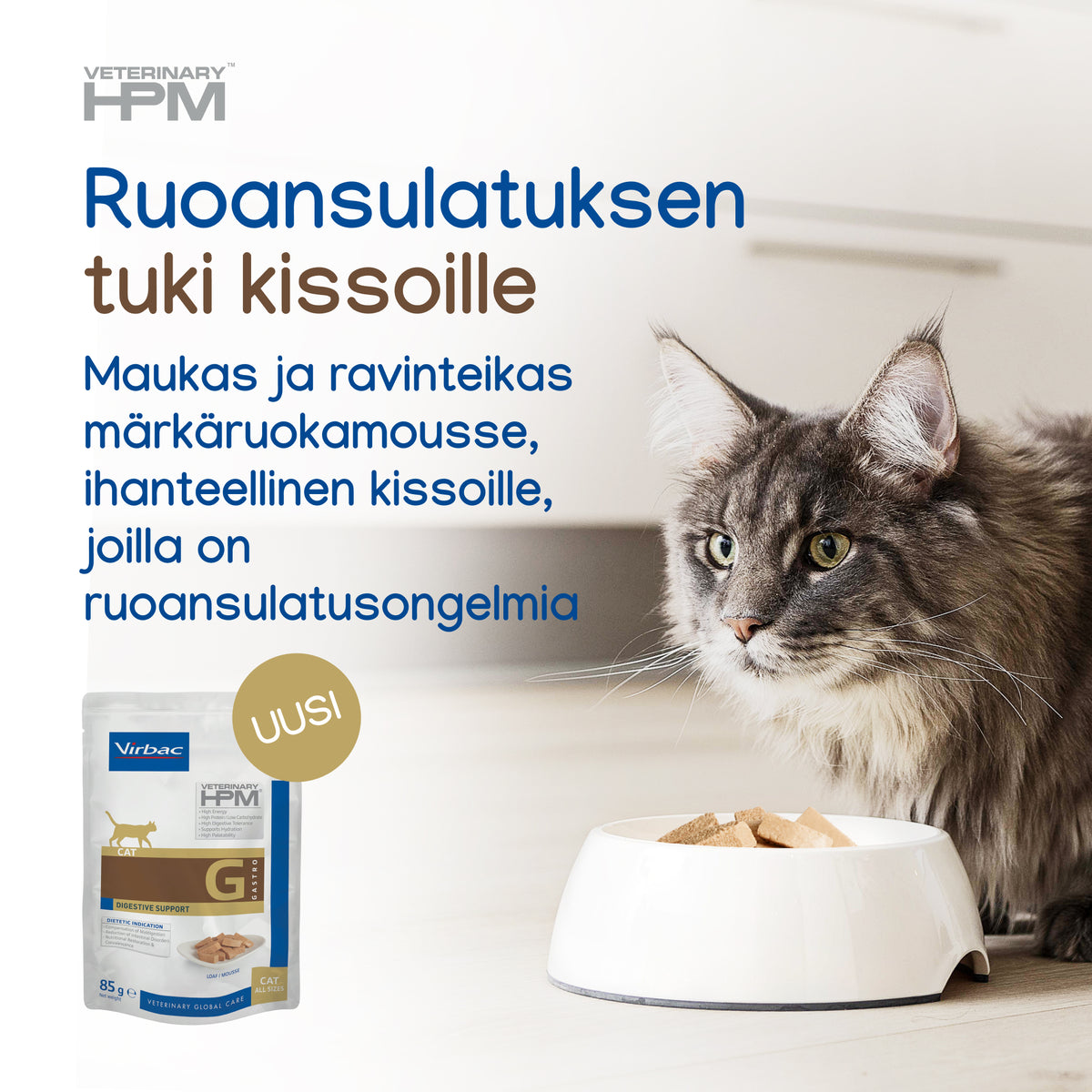 Virbac Digestive loaf kissalle 85 g MAISTELUPAKKAUS