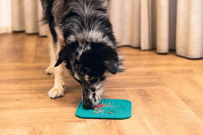 Beeztees LickMat Connoisseur nuolumatto vihreä 20cm